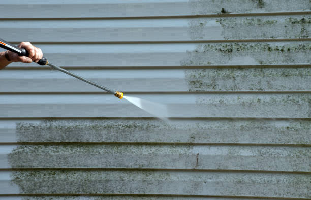 Professional Pressure Washing Services in Dexter, GA